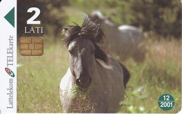 TARJETA DE LETONIA DE UN CABALLO (CABALLO-HORSE) WWF - Caballos