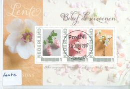 Nederland GEBRUIKT *  BLOK BLOC BLOCK * 3 X 1 * LENTE - Used Stamps