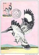 HONG-KONG CARTE MAXIMUM NUM. YVERT 531 FAUNE OISEAU PROTECTION DE LA NATURE - Maximumkaarten