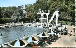 N°54642 -cpsm Mamers -la Piscine- - Natation