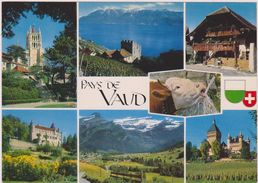 Suisse,helvetia,swiss,schweiz,svizzera,switzerland,VAUD,VACHE - Sonstige & Ohne Zuordnung