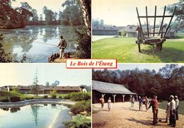 CPSM  95 MONTSOULT LE BOIS DE L ETANG  Grand Format 15 X 10,5 - Montsoult