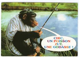 CPSM     SINGE CHIMPANZE      HABILLE  TENUE DE PECHEUR      CHIC UN POISSON - Animales Vestidos