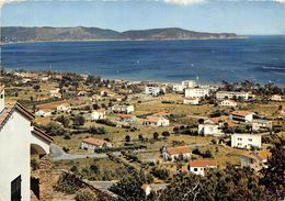 83-CAVALAIRE- LE PARC DE CAVALAIRE AU FOND LE CAP LARDIER - Cavalaire-sur-Mer