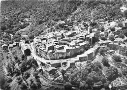 83-RAMATUELLE- VUE PANORAMIQUE - Ramatuelle