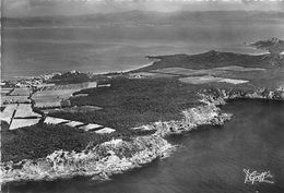 83-PORQUEROLLES- ILE VUE AERIENNE - Porquerolles