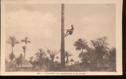 Guinee -- Conakry -- La Cueillette Du Vin De Palme - Guinée Française