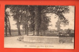 NED-32  Colombier  Les Allées Et Le Château. Tampon Caserne De Colombier, Poste Militaire. - Colombier