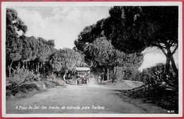 Delcampe - CPA Bilhete Postal Portugal - Praia Da Costa Caparica - A Praia Do Sol - Um Trecho Da Estrada Para Trafaria ° N° 112 - Setúbal