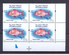 2016- Morocco- Maroc- Poisson - Fish In Euromed Postal -Joint Issue- Block Of Stamps MNH** - Fishes
