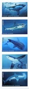 Etats-Unis / United States (Scott No.5227a - Requins / Sharks) [**] Set Se-tenant - Unused Stamps