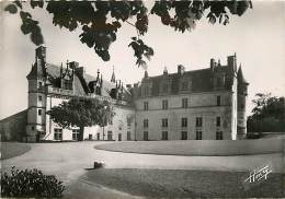 AMBOISE LE CHATEAU COUR INTERIEURE - Amboise