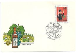 6990 Hungary SPM Flora Plant Fruit Grapes Agriculture Drink Wine Globe - Wein & Alkohol
