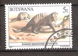 Botswana 1987 Animal, Mungos Mungo, Banded Mongoose, Mi  407, Used - Botswana (1966-...)