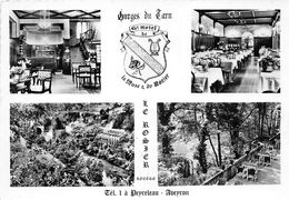 48-LE ROZIER-PEYRELEAU- LE GRAND HÔTEL DE LA MUSE ET DU ROZIER  - MULTIVUES - Altri & Non Classificati