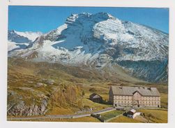 494 - SUISSE - SIMPLON - Hotel Bellevue - Bellevue