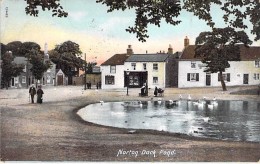 UNITED KINGDOM England ( Durham ) NORTON DUCK POND - CPA - ( Royaume Uni - Angleterre ) - Sonstige & Ohne Zuordnung