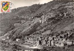 48-LES VIGNES- VUE GENERALE - Autres & Non Classés