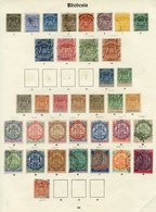 1892-1909 Collection On Printed Leaves Comprising 1892 To 5s U, 10s & £1 M, £2 - £10 Fiscals, 1892-94 Set M & Various La - Other & Unclassified