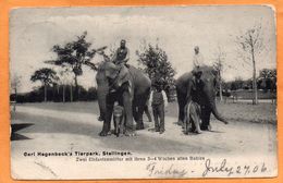 Carl Hagenbecks Tierpark Stellingen Hamburg 1906 Postcard - Stellingen