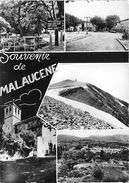 84-MALAUCENE - MULTIVUES - Malaucene