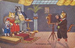 Carte Illustrée - La Famille Chat Chez Le Photographe - Ne Bougeons Plus - Circ Sans Date - Animaux Habillés