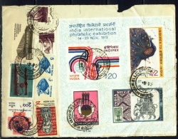 BIRDS-PEACOCK-IMPERF MS -USED ON PAPER-INDIA-1973-SCARCE-UMS-22 - Pfauen