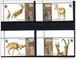 ARMENIE WWF, Yvert 261/64 ** Neuf Sans Charniere. MNH - Unused Stamps