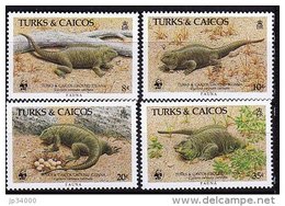 TURK ET CAIQUES WWF, Faune Iguane Terrestre. Yvert N°758/61 ** Neuf Sans Charniere. MNH. - Ongebruikt