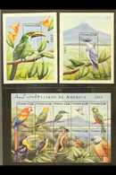 5104 BIRDS - STAMPS SIGNED BY ARTIST Nicaragua 2000 Birds Sheetlet And Pair Of Mini-sheets, SG MS3954 And MS3955, These - Unclassified