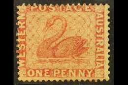 5311 WESTERN AUSTRALIA 1861 1d Rose Perf 14 At Somerset House, SG 38, Mint Regummed, Fresh. For More Images, Please Visi - Other & Unclassified