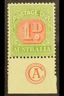 5403 POSTAGE DUES 1909 1d Rosine And Yellow Green, SG D64, Superb Mint With Bottom Margin Showing "CA" Monogram. For Mor - Other & Unclassified