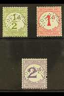 5505 POSTAGE DUES 1932 Set Complete, Perforated "Specimen", SG D4s/6s, Very Fine Mint. (3 Stamps) For More Images, Pleas - Other & Unclassified