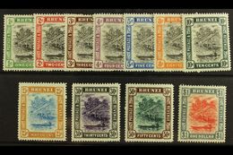 5622 1907 Brunei River Set Complete, SG 23/33, Very Fine And Fresh Mint. (11 Stamps) For More Images, Please Visit Http: - Brunei (...-1984)
