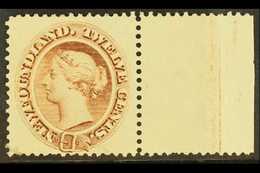 5690 1894 12c Deep Brown, SG 61, Very Fine Marginal Mint. For More Images, Please Visit Http://www.sandafayre.com/itemde - Other & Unclassified