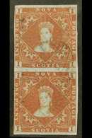 5715 1851-60 1d Red- Brown Imperf, SG 1, Used VERTICAL PAIR With 4 Small / Close Margins Leaving The Design Clear, The U - Other & Unclassified