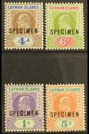 5779 1907 Set, Overprinted "SPECIMEN", SG 13/16s, Extremely Fine Mint. (4) For More Images, Please Visit Http://www.sand - Cayman Islands