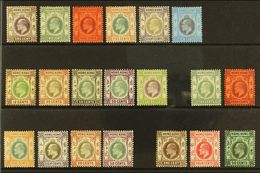 6488 1903-11 KEVII MINT SELECTION Presented On A Stock Card. Includes 1903 CA Watermark Set To $1, 1904-06 MCA Watermark - Other & Unclassified