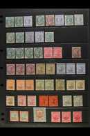 6592 NABHA 1885-1912 MINT COLLECTION Presented On Stock Pages With Many Useful Shade Variants. Includes 1885 ½a & 2a, Pl - Other & Unclassified