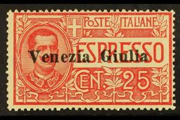 6767 VENEZIA GIULIA 1919 25c Red Express, Sass 1, Very Fine Never Hinged Mint. Signed Sorani. Cat €450 (£340) For M - Unclassified