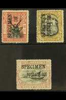 7311 POSTAGE DUES 1897 - 99 2c, 6c And 8c Overpinted "Specimen", SG D12s, D18s, D19s, Very Fine And Fresh Mint. (3 Stamp - North Borneo (...-1963)