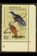 7353 1964 10s Bird Of Paradise "SPECIMEN" Opt'd, SG 71s, Never Hinged Mint Corner Example With Printers Mark. Lovely (1 - Papua New Guinea