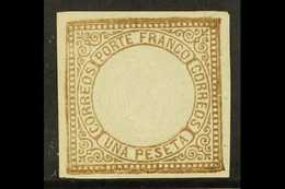 7369 1863 1p Brown Arms SG 16, Scott 13, Mint With Four Margins And Large Part Gum, Small Marginal Tear And Pinhole. For - Peru