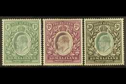 7618 1904 1r, 2r, And 3r, SG 41/43, Fine Mint. (3 Stamps) For More Images, Please Visit Http://www.sandafayre.com/itemde - Somaliland (Protectorate ...-1959)