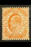 7646 CAPE OF GOOD HOPE 1902-04 5s Brown-orange, SG 78, Fine Mint. For More Images, Please Visit Http://www.sandafayre.co - Unclassified