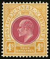 7702 NATAL 1902-03 4s Deep Rose And Maize, SG 139, Very Fine Mint. For More Images, Please Visit Http://www.sandafayre.c - Unclassified