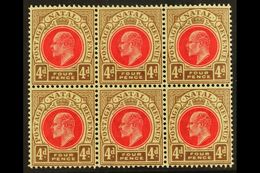 7705 NATAL 1902-3 4d Carmine & Cinnamon, Wmk Crown CA , BLOCK OF SIX, SG 133, Very Slightly Toned Gum, Otherwise Never H - Unclassified