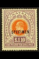 7706 NATAL 1904 - 08 £1.10s Brown Orange And Deep Purple, Ovptd "Specimen", SG 162s, Very Fine And Fresh Mint. For More - Unclassified