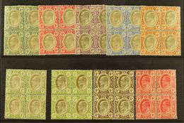 7729 TRANSVAAL 1902-09 Group Of Mint Blocks Of 4, Incl. Wmk Crown CA ½d To 2½d, 6d & 1s, Wmk Mult Crown CA 3d & 4d And 1 - Unclassified