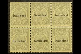 7916 1889-90 ½d Grey, Perf 12½ Overprinted SG 4, Block Of Six (3 X 2), Fine And Fresh Never Hinged Mint. For More Images - Swaziland (...-1967)